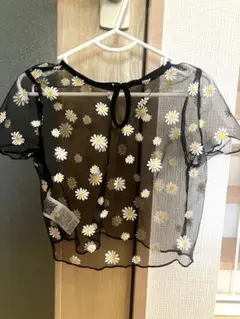 Item thumbnail for item f186d176-3a75-4801-bbbb-8a700f52e0a7