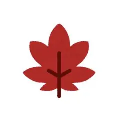 さっちゃん様専用ページ♡ （5月4日まで）