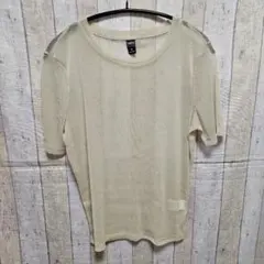 SHEIN Dazy 金色 シースルー 半袖Tシャツ Lサイズ メッシュトップス