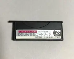 任天堂 DS Lite専用振動カートリッジ