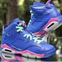 希少カラー NIKE AIR JORDAN 6 RETRO GS 25cm
