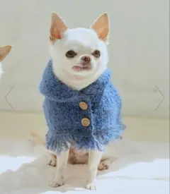 Item thumbnail for item a6ddc0c5-0aaf-4cde-9be4-e1c6331cef68