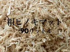 Item thumbnail for item 59773c58-9bed-4bcd-85f1-6324d263e818