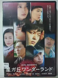 星ガ丘ワンダーランド DVD/中村倫也 新井浩文 佐々木希 菅田将暉 杏