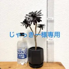 2026年最新】黒法師の人気アイテム - メルカリ