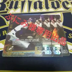 ぷにみ様 専用出品