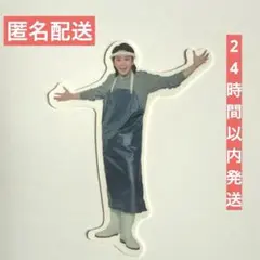 Mrs. GREEN APPLE ライラック 鮮魚店員もとき アクスタ 2025年最新】鮮魚店員もときの人気アイテム - メルカリ