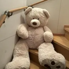 コストコ　くま　ぬいぐるみのサムネイル
