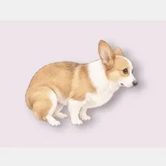 コーギーさん♡ミニアートプリント｜フレームなし