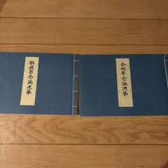 山元式新頭鍼療法 書籍・DVDセット YNSA - メルカリ