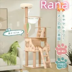 Item thumbnail for item b9ed6e4e-0606-46b4-9e78-dfc14bf6b8e6