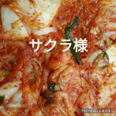 サクラ様専用です。