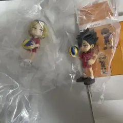 ハイキューパルバース黒尾鉄朗孤爪研磨