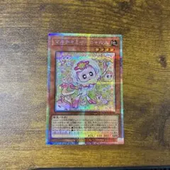 マルチャミーニャルス　プリシク