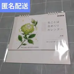 Item thumbnail for item dfebaeb9-91d4-4a83-a363-21519df13060