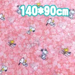 Item thumbnail for item 74695d35-7905-41f5-a36f-2efd40b84cc4