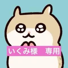 いくみ様　専用