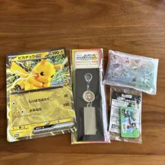 JR東日本　ポケモンメガスタンプラリー　2025