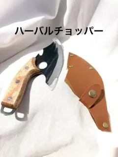 Item thumbnail for item 65e31117-44d9-4f49-b0cb-22743eebe8f6