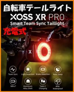 Item thumbnail for item f60e31f1-697c-4471-a7fb-af5ad751ab40