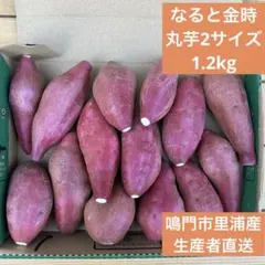 【生産者直送】なると金時（さつまいも）　丸芋2Sサイズ　約1.2kgのサムネイル