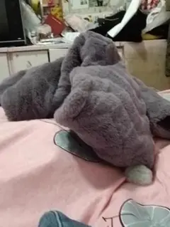 Item thumbnail for item 6157892a-9f19-4c7d-b4c6-fb91750b67bc