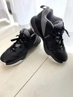 Item thumbnail for item 164973e7-e3a7-4d4a-a440-1ebd11957c3a