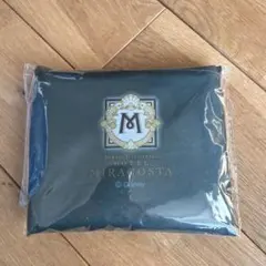 東京ディズニーシー ホテル ミラコスタ エコバッグ