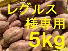 レグルス様専用・５㎏・食べ比べセット