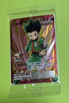 2026年最新】hunter×hunter カード ゴンの人気アイテム - メルカリ