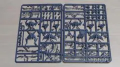 ウォーハンマー40k デュカーリ ヘリオン(DRUKHARI Hellions)