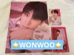 SEVENTEEN セブチ　ウォヌ　シーグリ　公式　即日　匿名