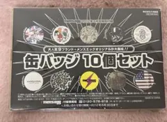 メンズエッグ 付録 缶バッジ10個セット