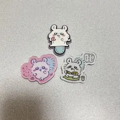 モモンガ マグネット