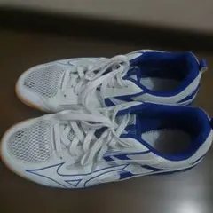 Item thumbnail for item fe62026f-0c7e-4d0a-bfe4-fa5b44cac8ac