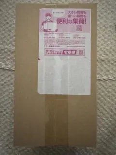 ポケモンカードゲーム スペシャルBOX ポケモンセンタートウホク 11月到着分