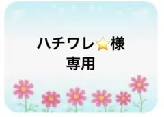 ハチワレ⭐画像は春の青空✨様専用