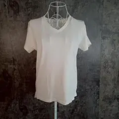 ✨BACKNUMBER✨バックナンバー♡カットソー♡半袖♡アイボリー♡(M)