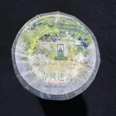 1097】海外 マステ 5/巻 虹光マスキングテープ デザート アイス