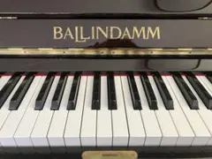 激レア スタインウェイ アップライトピアノ 鍵 2種類 激レア スタインウェイ アップライトピアノ 鍵 2種類