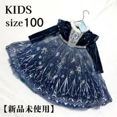 エルサ ドレス 100 誕生日 演奏会 発表会 ディズニー プリンセス コスプレ