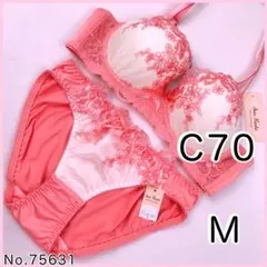 ブラジャーショーツセットC70 No.75631
