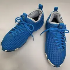 Item thumbnail for item 4f5a7cf6-9832-4f50-a46d-4bf1058a4414