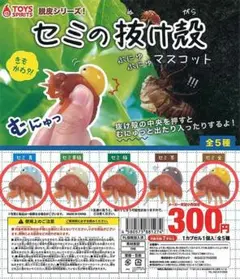 2026年最新】セミの抜け殻の人気アイテム - メルカリ