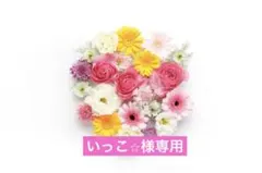 いっこ様専用ページ