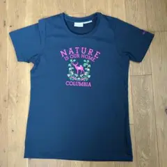 コロンビア　Ｔシャツ　レディース　М