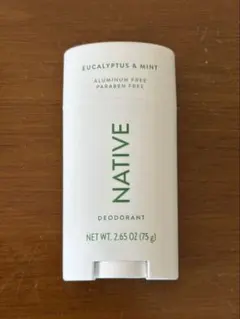 Item thumbnail for item 2c0df343-8a48-4feb-984e-e6d53fb705d4