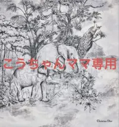 デコルテゼン ウェアパウダーファンデーション N26＋ケース＋スポンジ✖︎2