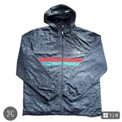 Item thumbnail for item 4e4323d0-e22e-48a0-93c1-454990346ec3