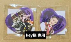 ナンバーワン戦隊 ゴジュウジャー TOSくじ 缶バッジ ブライダン